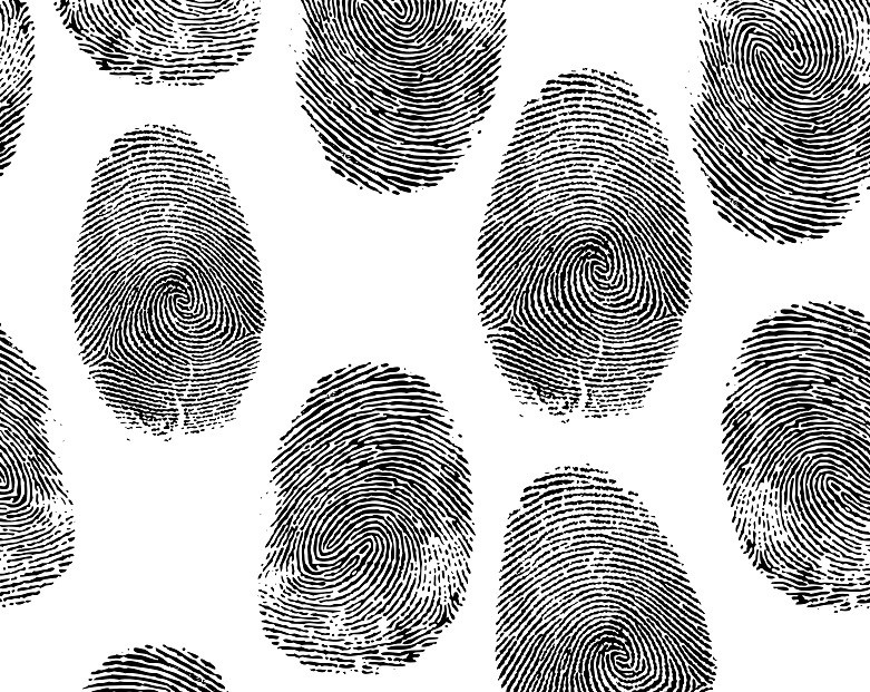 Forensic Evidence Infallible? Not so Fast!