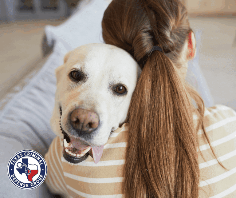 Bestiality in Texas